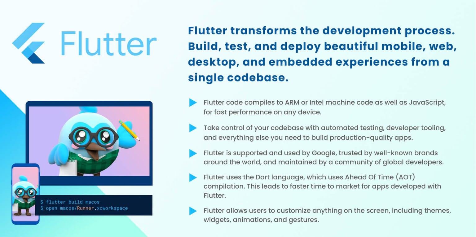 Flutter Coding Rule FLUTTER - Codeandcore